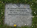 Pesi Karanjia