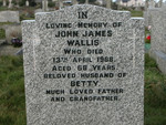 John James Wallis
