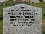 William Snowdon Brewer