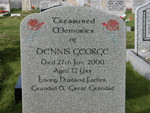 Dennis George